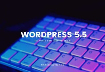 WordPress 5.5 Update